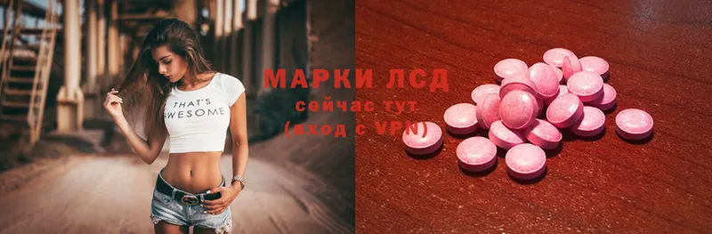 mega зеркало  наркошоп  Курлово  Лсд 25 экстази ecstasy 