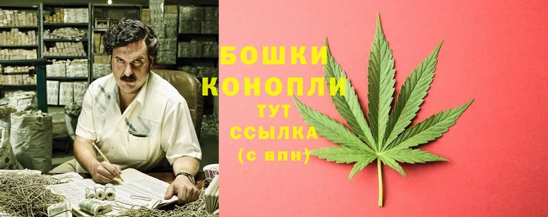 магазин продажи   Курлово  Бошки Шишки LSD WEED 